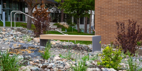 Wishbone Hutch Bench at Thompson Rivers University in Kamloops BC